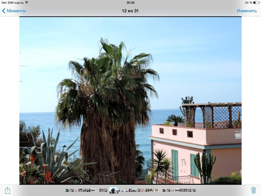 Primavera Apartments Sanremo Rum bild