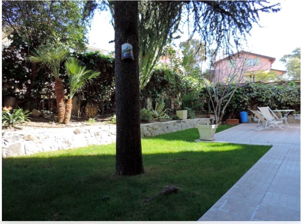 Primavera Apartments Sanremo Rum bild